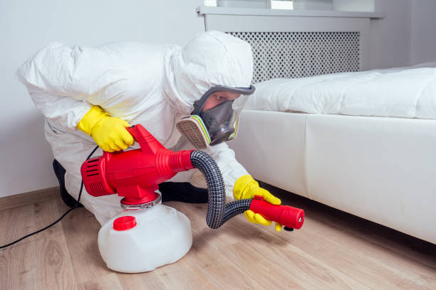 Best Flea Control Services  in Croton On Hudson, NY