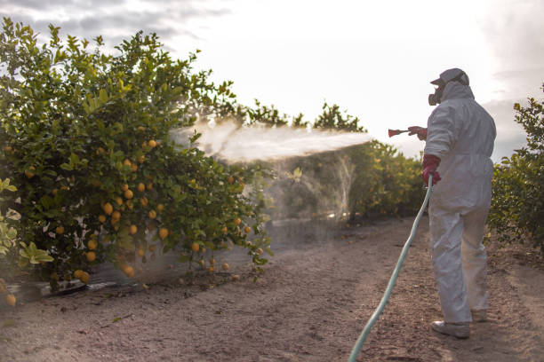 Best Local Pest Control Services  in Croton On Hudson, NY