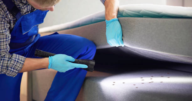 Pest Control for Restaurants in Croton On Hudson, NY